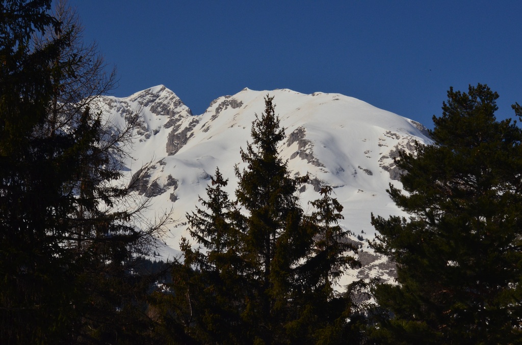 2014-03-14 Dévoluy/DSC_0147.JPG